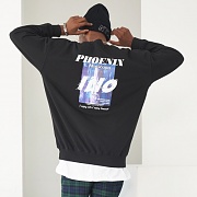PHOENIX-MTM-����