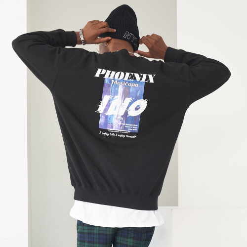 PHOENIX-MTM-����